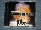 画像: MIKWAUKEE WILDMEN - SCARS REMAIN (NEW) / 2000 GERMAN ORIGINAL "BRAND NEW"  CD 