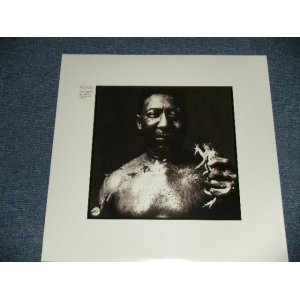 画像: MUDDY WATERS  - AFTER THE RAIN (SEALED)  / 2011 US AMERICA  ORIGINAL "BRAND NEW SEALED"  LP 