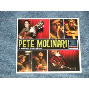 画像: PETE MOLNARI (Blues Rock) - A VIRTUAL AND ALIVE (MINT-/MINT) / 2008 UK ENGLAND  ORIGINAL Used CD 