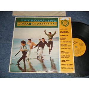 画像: BEAU BRUMMELS - INTRODUCING  (VG++/Ex+++ TEAROFC)   / 1965 US AMERICA ORIGINAL "None MONO CREDIT on LABEL" "MONO" Used LP 