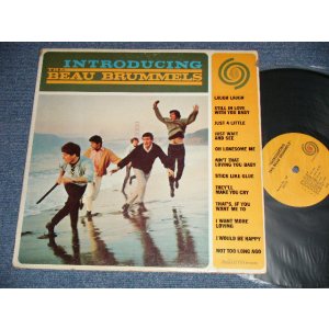 画像: BEAU BRUMMELS - INTRODUCING  (Ex+/Ex Looks:Ex++ EDSP)   / 1965 US AMERICA ORIGINAL "MONO CREDIT on LABEL" "MONO" Used LP