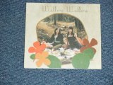 画像: WILLOW WILLOW - WILLOW WILLOW  (MINT-/MINT) / 2004 US AMERICA ORIGINAL Used CD