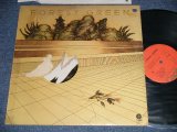 画像: FOREST GREEN - FOREST GREEN (Ex/Ex+++ BB for PROMO)  / 1973 US AMERICA ORIGINAL Used LP