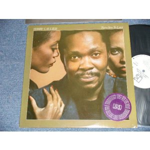 画像: TERRY CALLIER - TURN YOU TO LOVE (Ex++/MINT- ) / 1979 US AMERICA ORIGINAL "WHITE LABEL PROMO"  Used  LP 