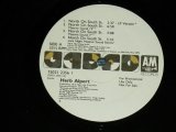 画像: HERB ALPERT- NORTH ON SOUTH ST. (- /Ex+++) / 1991 US AMERICA "PROMO ONLY"  Used 12" Single