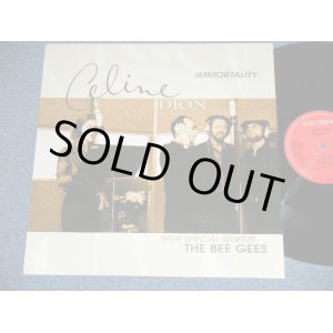 画像: CELINE DION BEE GEES - IMMOTALITY (Ex+++/MINT- ) /1998 HOLLAND NM 12"inch Single 
