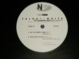 画像: TALBOT / WHITE  of STYLE COUNCIL - OFF THE BEATIN TRACK(NEW)  / 1996 UK ENGLAND ORIGINAL "BRAND NEW" 12"