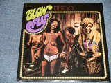 画像: BLOW FLY BLOWFLY  - DISCO  (SEALED) / US AMERICA REISSUE "BRAND NEW SEALED" LP 