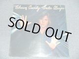 画像: SHAUN CASSIDY - UNDER WRAPS (SEALED Cut out) / 1978 US AMERICA ORIGINAL "BRAND NEW SEALED" LP