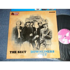 画像: DOWNLINERS SECT - THE SECT (MINT/MINT) / 2002 SPAIN  REISSUE "180 Gram Heavy Weight" Used LP