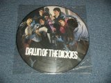 画像: THE DICKIES -DAWN OF THE DICKIES  (NEW) / 2001 UK ENGLAND  REISSUE "PICTURE DISC Version"  "BRAND NEW" LP