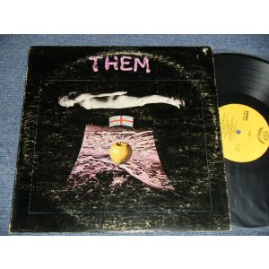 画像: THEM - THEM (VG+++, Ex/Ex+ A-1,B-1:VG+++ EDSP, WARP) /  1969 US AMERICA ORIGINAL Used  LP 