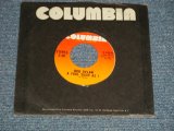 画像: BOB DYLAN - A) A FOOL SUCH AS I B) LILY OF THE WEST (MINT-/MINT-) / 1973 US AMERICA ORIGINAL Used 7"SINGLE