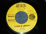 画像: CHAD & JEREMY - A) WHAT DO YOU WANT WITH ME  B) A VERY GOOD YEAR (Ex+++/Ex+++) / 1965 US AMERICA ORIGINAL Used  7" Single