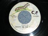 画像: The DOORS - A) RIDERS ON THE STORM  B) CHANGELING (Ex++/Ex++ WOL) / 1971 US AMERICA ORIGINAL Used 7"Single