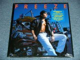 画像: FREEZE - FREEZE (SEALED) / 1991 US AMERICA ORIGINAL "BRAND NEW SEALED" LP  