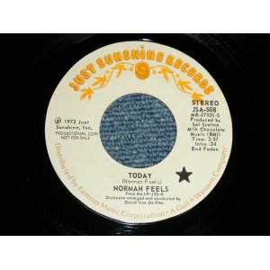 画像: NORMAN FEELS - A) TODAY  B) SOMETHING ABOUT YOU (DEEP SOUL) (MINT-/MINT-) / 1973 US AMERICA ORIGINAL "Promo" Used 7"45 