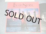 画像: EXOTIC STORM - IN THE BEGINNING (Ex++/MINT-) /1986 US AMERICA ORIGINAL Used LP 