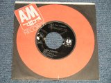 画像: JESSE JOHNSON - A) SHE (I CAN'T RESIST)  B) BLACK IN AMERICA (Ex+++/Ex+++) / 1986 US AMERICA ORIGINAL Used 7"45