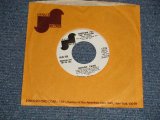 画像: GRADY TATE - A) FREEDOM FOR THE STALLION  B) I WISH I COULD WALK AWAY (Ex+++/Ex+++)/  1973 US AMERICA ORIGINAL "WHITE LABEL PROMO" Used 7"45