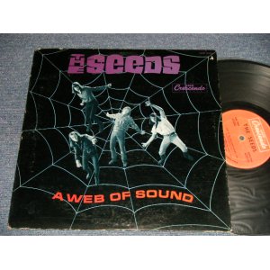 画像: The SEEDS - A WEB OF SOUND (Ex+/VG+++) / 1966 US AMERICA ORIGINAL STEREO Used LP 