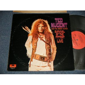 画像: TED NUGENT and The AMBOY DUKES  - SURVIVAL OF THE FITTEST LIVE  (Matrix #A) 24-4035-A  IAM STERLING RL  B) 24-4035-B  IAM ) (Ex+/MINT-) / 1970 US AMERICA ORIGINAL Used LP