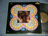 画像: SOUTH WIND - SOUTH WIND (Ex++/MINT- BB, EDSP) / 1968 US AMERICA ORIGINAL Used LP 