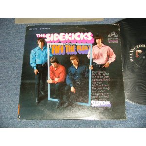 画像: The SIDEKICKS - FEATURING 'FIFI THE FLEA' (Ex++/Ex+++) / 1966 US AMERICA ORIGINAL STEREO Used LP 