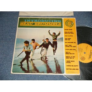 画像: BEAU BRUMMELS - INTRODUCING (Ex/Ex+ Looks:Ex WOFC) / 1965 US AMERICA ORIGINAL "MONO CREDIT on LABEL" "MONO" Used LP