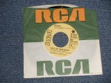 画像: ZULEMA - A) HALF OF YOUR HEART  B) WHAT KIND OF PERSON ARE YOU?  (MINT/MINT) / 1976 US AMERICA ORIGINAL "PROMO" Used 7" Single 