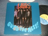 画像: The VIPERS - OUTTA THE NEST! (Ex++/M-) /1984 US AMERICA ORIGINAL Used LP 