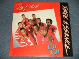 画像: RARE ESSENCE - HEY NOW (SEALED) / 1992/1988 US AMERICA ORIGINAL "BRAND NEW SEALED"  12"