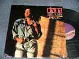 画像: DIANA ROSS - THIS HOUSE PARADISE (MINT-/Ex+++ Looks:MINT- WOL) / 1989 US AMERICA ORIGINAL Used 12 inch  