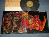画像: RHINOCEROS - RHINOCEROS (Ex++/Ex+++ Looks:Ex++ BB EDSP) / 1968 US AMERICA ORIGINAL 1st Press "GOLD Label" Used LP