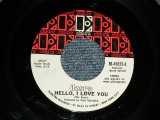 画像: The DOORS - A) HELLO, I LOVE YOU  B) LOVE STREET (Ex+++ Looks:Ex++/Ex+++ Looks:Ex++) / 1968 US AMERICA ORIGINAL Used 7" 45rpm Single