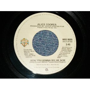 画像: ALICE COOPER - A) HOW YOU GONNA SEE ME NOW  B) NO TRICKS (MINT-/MINT-) / 1978 US AMERICA ORIGINAL Used 7" 45rpm  Single 