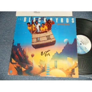 画像: BLACKBYRDS -  BETTER DAYS ( Ex++/Ex++ WOFC) / 1980 US AMERICA ORIGINAL Used LP 
