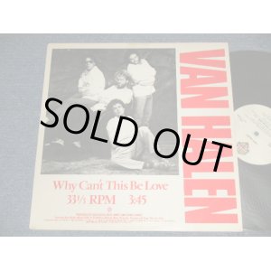 画像: VAN HALEN - WHY CAN'T THIS BE LOVE  (Ex++/Ex++ Looks:MINT-~Ex+++) /1986 US AMERICA ORIGINAL "PROMO ONLY" Used 12" 