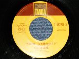 画像: MARVIN GAYE - YOU'RE THE MAN  A) Pt.I  B) Pt.II (Ex+/Ex+) / 1972 US AMERICA ORIGINAL Used 7" 45 rpm Single  