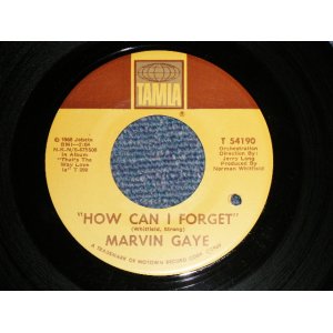 画像: MARVIN GAYE - A) HOW CAN I FORGET  B) GONNA GIVE HER ALL THE LOVE I'VE GOT（Ex+++/Ex++ BB) / 1968 US AMERICA ORIGINAL Used 7" 45 rpm Single  