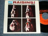 画像: CALIFORNIA RAISINS - A) Signed, Sealed, Delivered I'm Yours  B) Green Onions (Ex+/Ex+++) / 1986 US AMERICA ORIGINAL Used 7" 45 rpm Single With PICTURE SLEEVE 