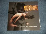 画像: NEFERTITI - L.I.F.E.(LIVING IN FEAR OF EXTINCTION)  (NEW) /1994 UK ENGLAND ORIGINAL "BRAND NEW" LP