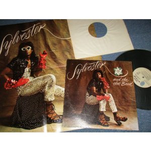 画像: SYLVESTER AND THE HOT BAND - SYLVESTER AND THE HOT BAND (With POSTER) (Ex++/Ex++ BB) / 1973 US AMERICA ORIGINAL Used LP