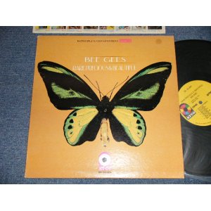 画像: BEE GEES - RARE PRECIOUS & BEAUTIFUL (Ex++/MINT- EDSP) / 1969 Version US AMERICA 2nd Press "YELLOW Label with 1841 BROADWAY Credit Label Bottom"  Used LP