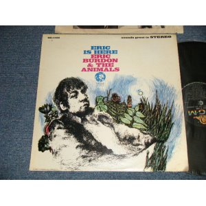 画像: ERIC BURDON and The ANIMALS - ERIC IS HERE (Ex+/Ex+ STAPLE HOLE) / 1967 US AMERICA ORIGINAL STEREO Used LP 