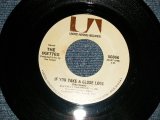 画像: The IKETTES - A) IF YOU TAKE A CLOSE LOOK  B) GOT WHAT IT TAKES  (Ex++/Ex++) / 1971 US AMERICA Used 7"Single  