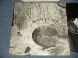 画像: THIRTEEN-ONE-ELEVEN - MY BIBLE IS THE LATEST T.V. GUIDE (Country Rock)  (MINT-/MINT-) /19789 US AMERICA ORIGINAL Used 12"