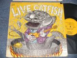 画像: CATFISH Featuring Bob Hodge - Live Catfish   (Ex-/Ex+++ Looks*Ex++ Cut out, TAPESEAM, WTRDMG)1970 US AMERICA ORIGINAL 1st Press "YELLOW Label" Used LP