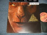 画像: JOHN FOGERTY (of CCR CREEDENCE CLEARWATER REVIVAL) - EYE OF THE ZOMBIE (Ex++/MINT- STOFC)/ 1986 US AMERICA ORIGINAL "PROMO" Used LP 