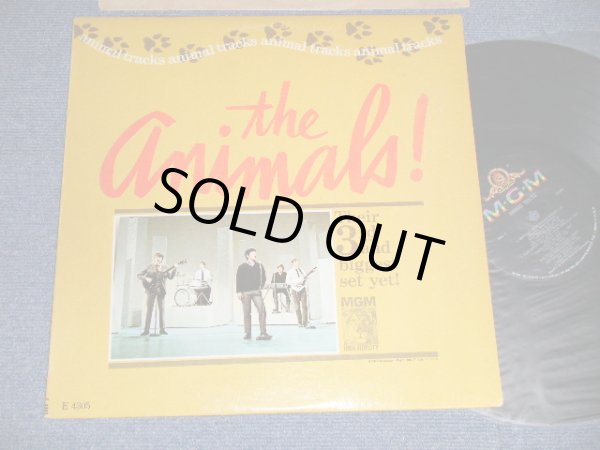 画像1: The ANIMALS - ANIMAL TRACKS (Ex++/Ex+ Looks:Ex) / 1965 US AMERICA ORIGINAL MONO Used LP 
